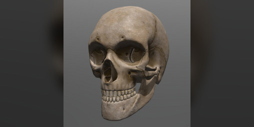 Cover image for Wait to die of Hunger Simulator