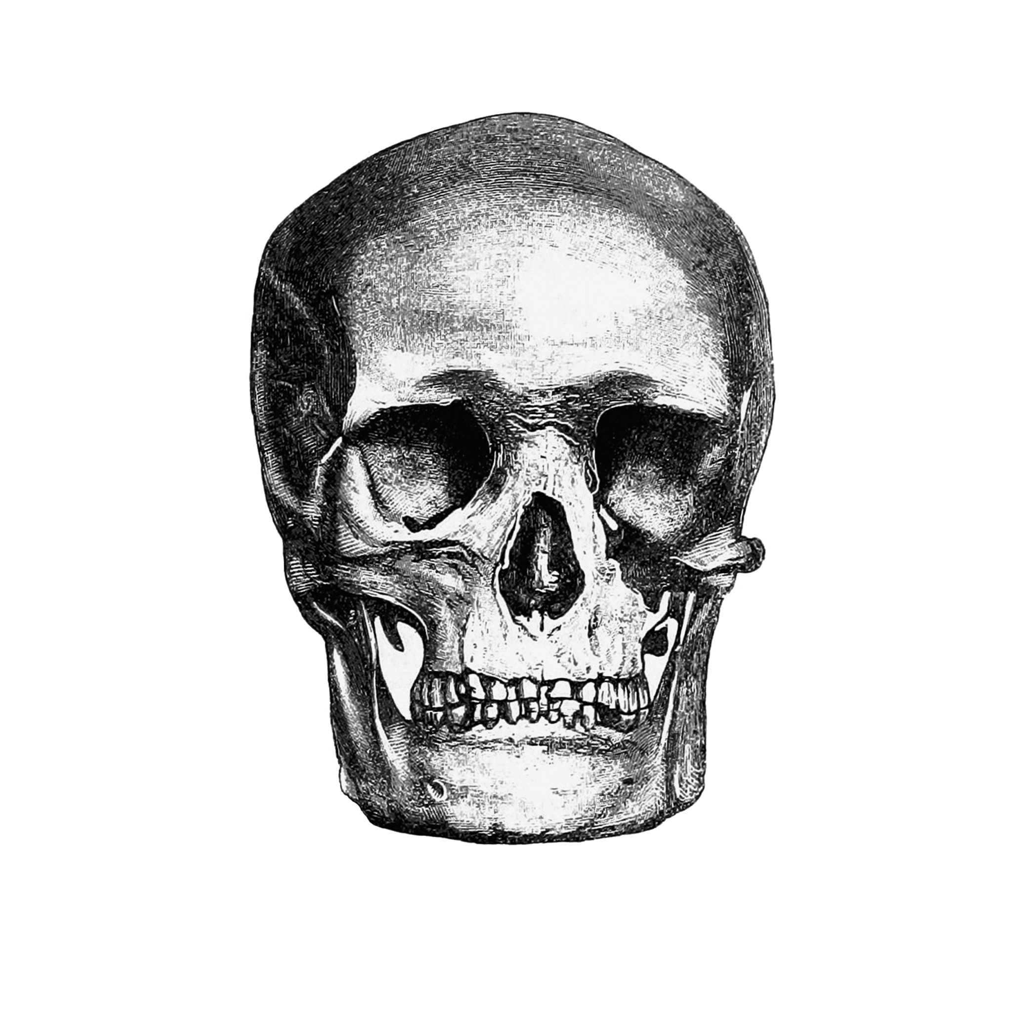 Cover image for Liminaler Horror (Liminal Horror Legacy Edition - German translation)