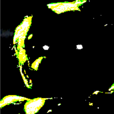 FNAF 3 FREE (Ransomware Recreation)