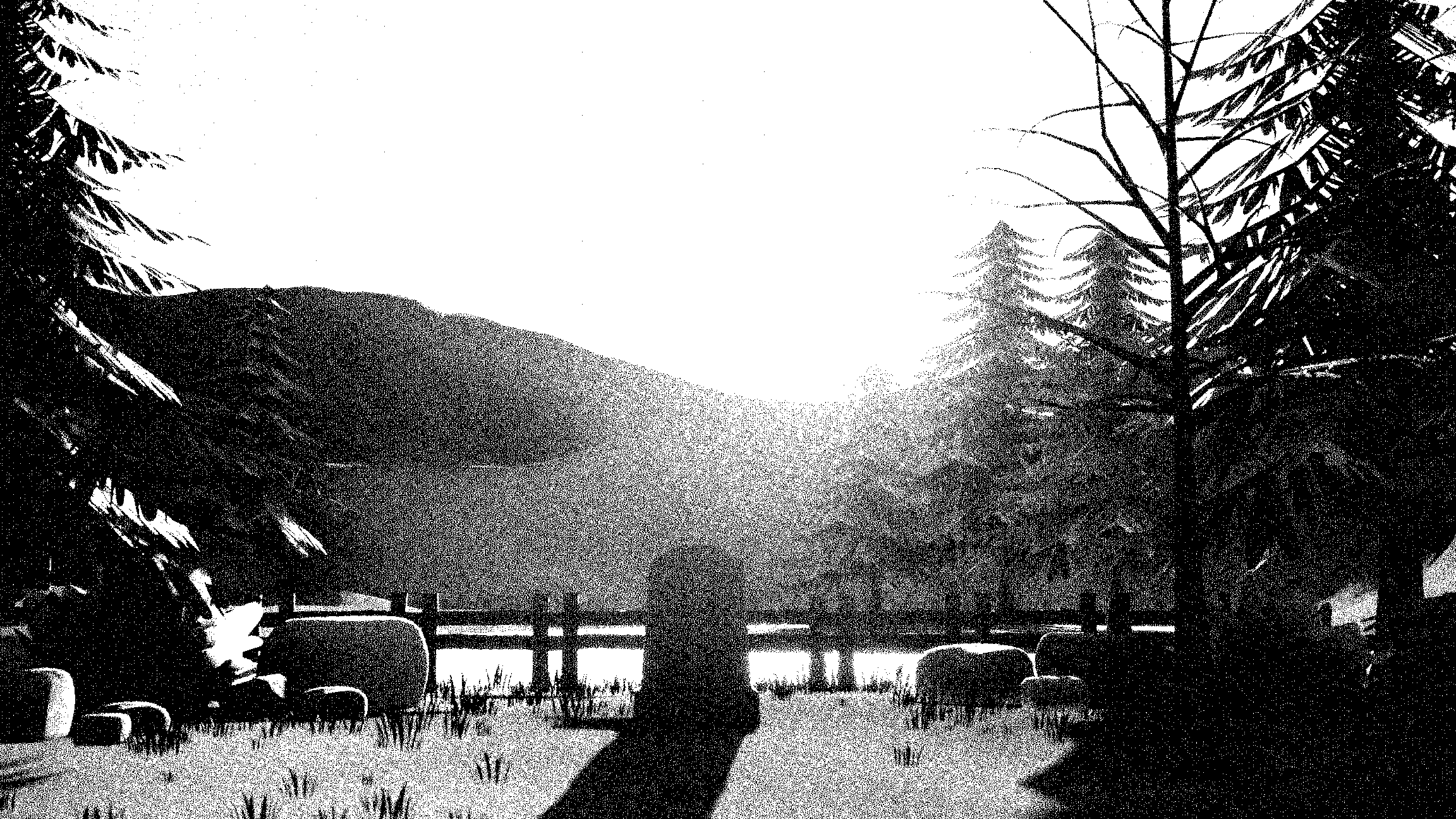 Cover image for Post Mortem