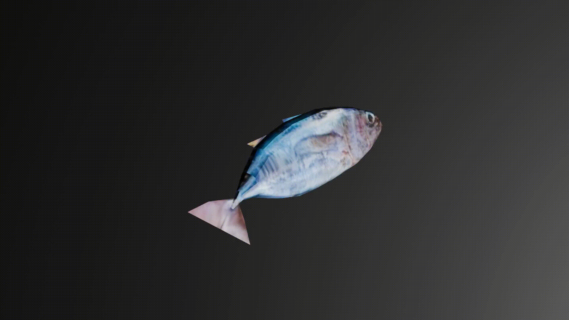 you're a fish
