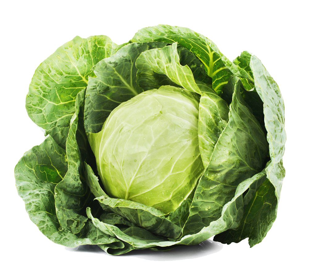 Cover image for Cabbage Farm