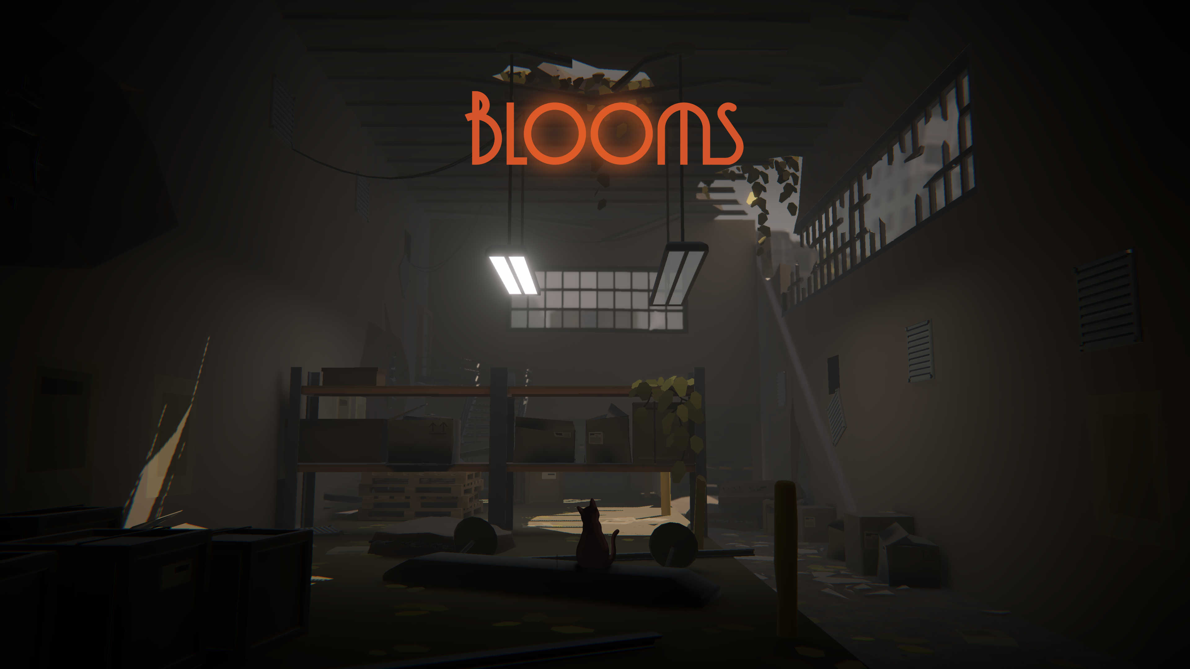 Cover image for Blooms