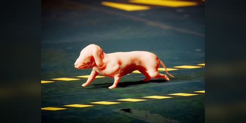 Cover image for Slot Waste