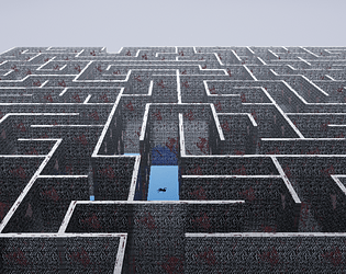 The Maze