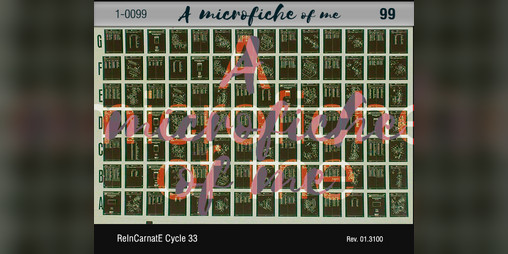 Cover image for A Microfiche Of Me