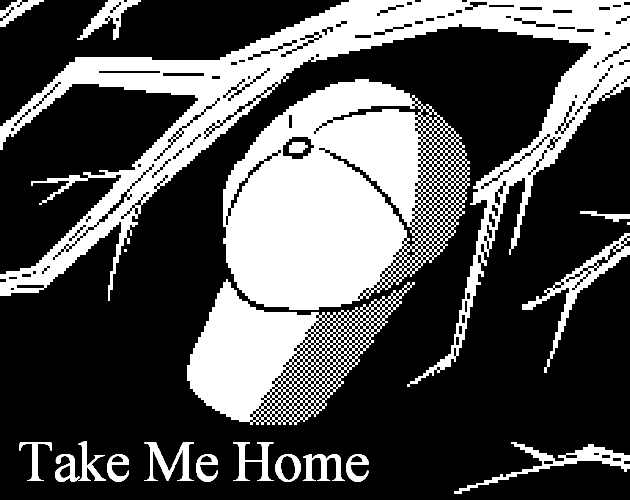 Cover image for Take Me Home
