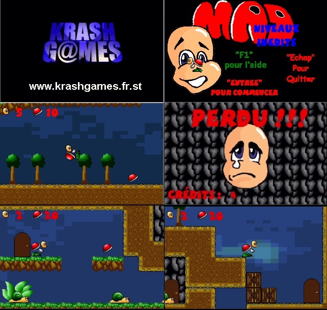 (sauvegarde jeux amateur francophone TheGamesFactory) Canyon,MadTurtle, MadTurtleV2