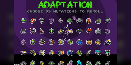 Cover image for Adaptation