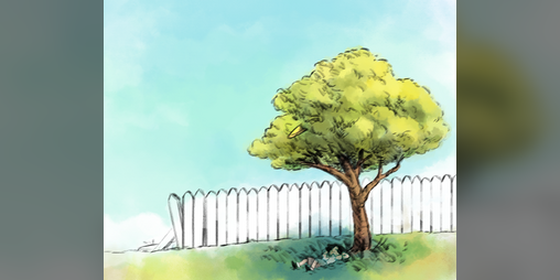 Cover image for Stumped