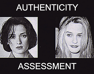 Authenticity Assessment