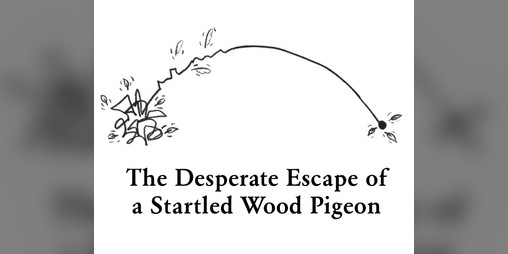 Cover image for The Desperate Escape of a Startled Wood Pigeon