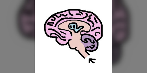 Cover image for A Mind to Call Home