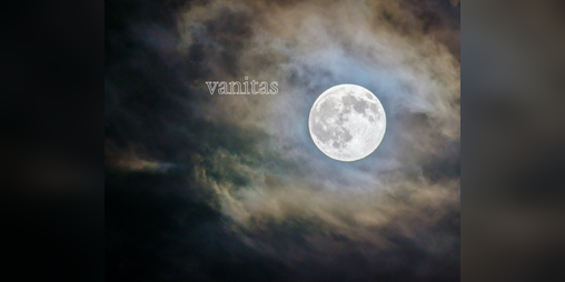 Cover image for vanitas