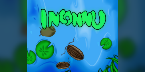 Cover image for Inconnu