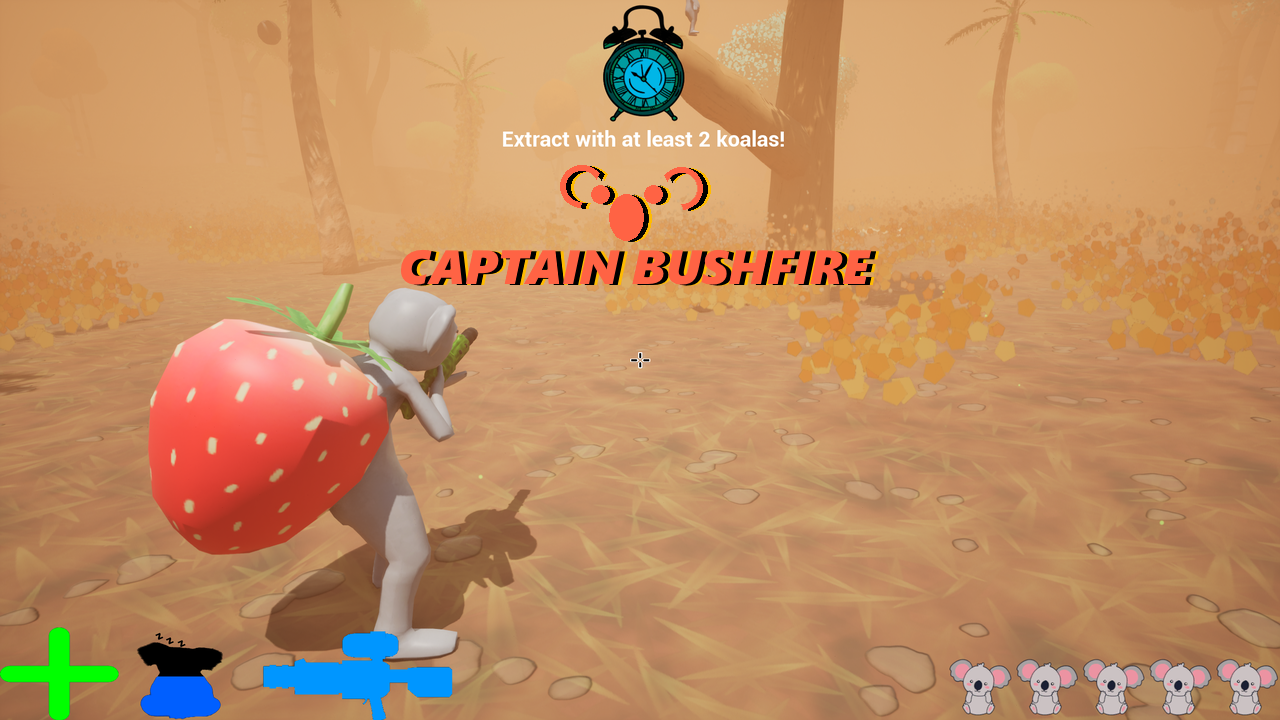 Cover image for Captain Bushfire