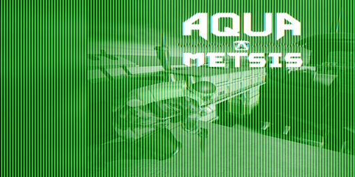 Cover image for Aquametsis