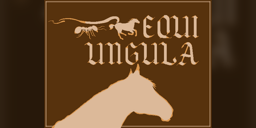 Cover image for Equi Ungula