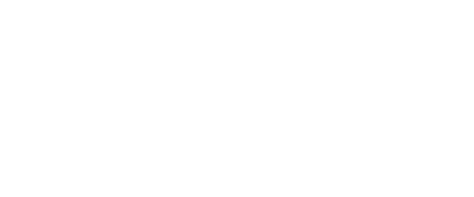SnowCatch