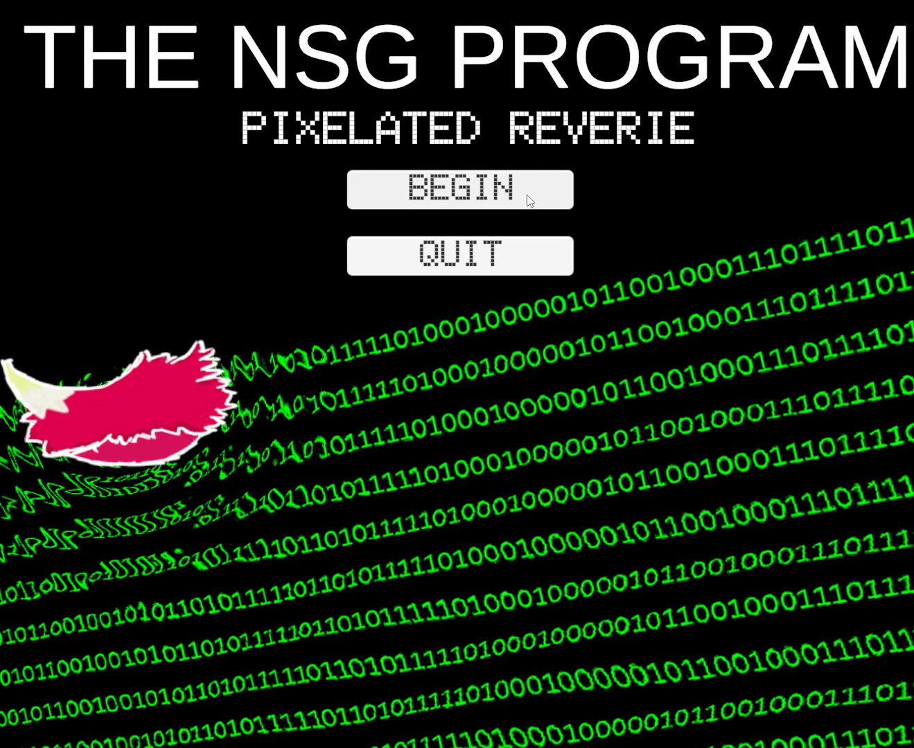 Cover image for The NSG Program - Pixelated Reverie: