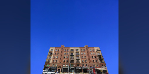 Cover image for Primado Reig 103