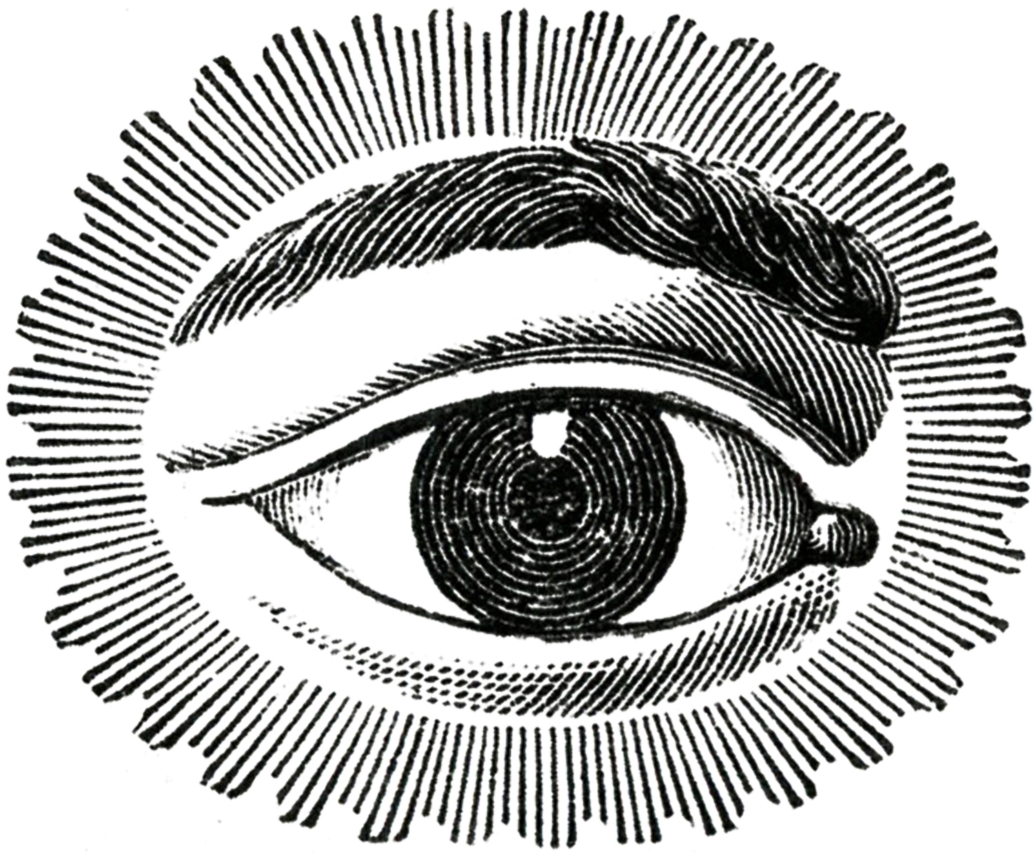 Cover image for Hitpatlut