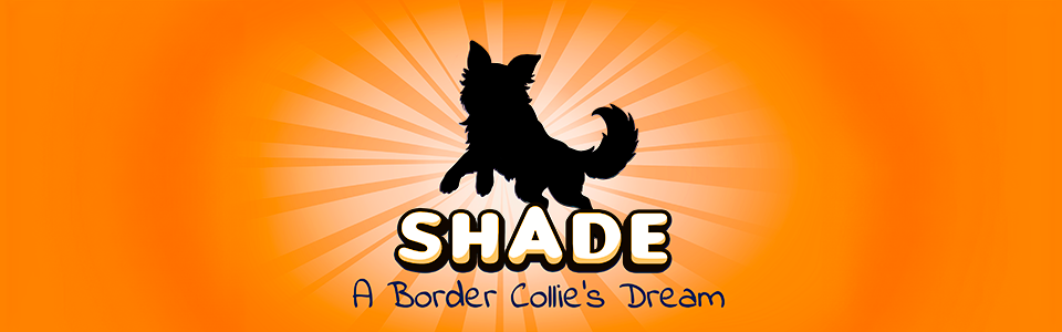 SHADE A Border Collie's Dream