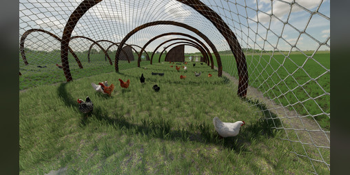 Cover image for Home Made Chicken Coop