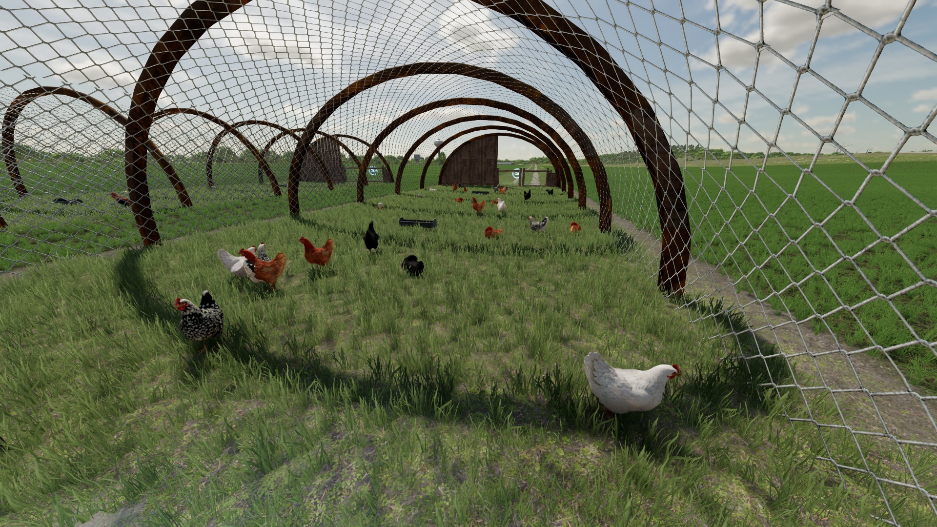 Cover image for Home Made Chicken Coop