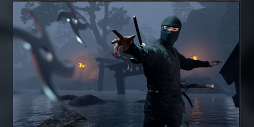 Cover image for ninja das plataformas