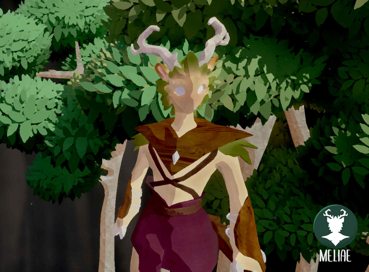 Cover image for Meliae