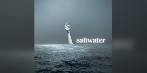 Cover image for saltwater
