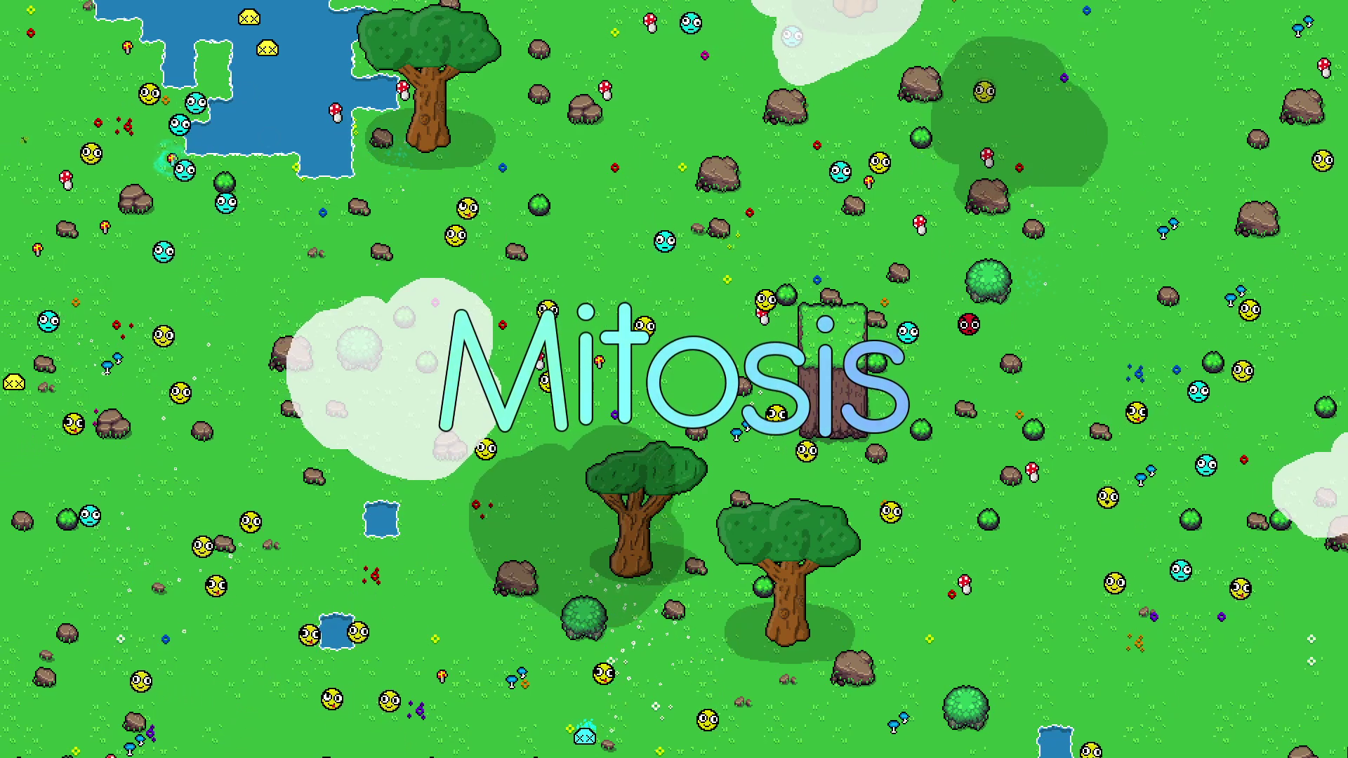 Mitosis