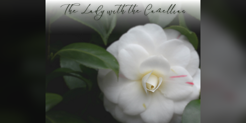 Cover image for The Lady with the Camellias