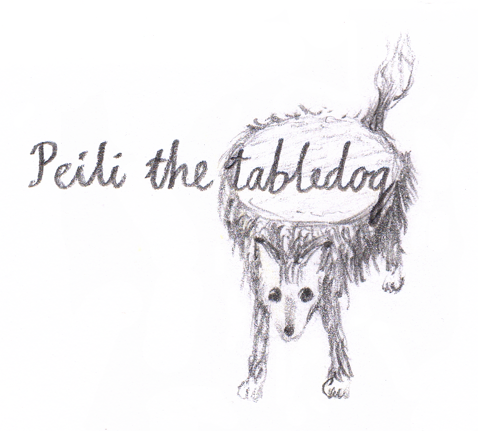 Peili the tabledog