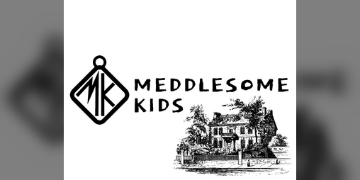 Cover image for Meddlesome Kids
