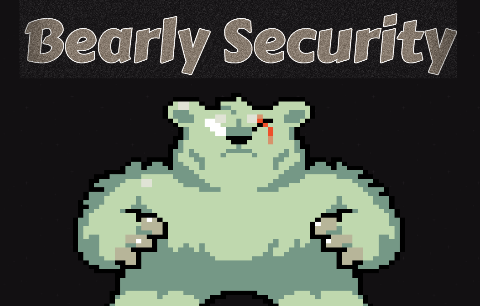 Bearly Security