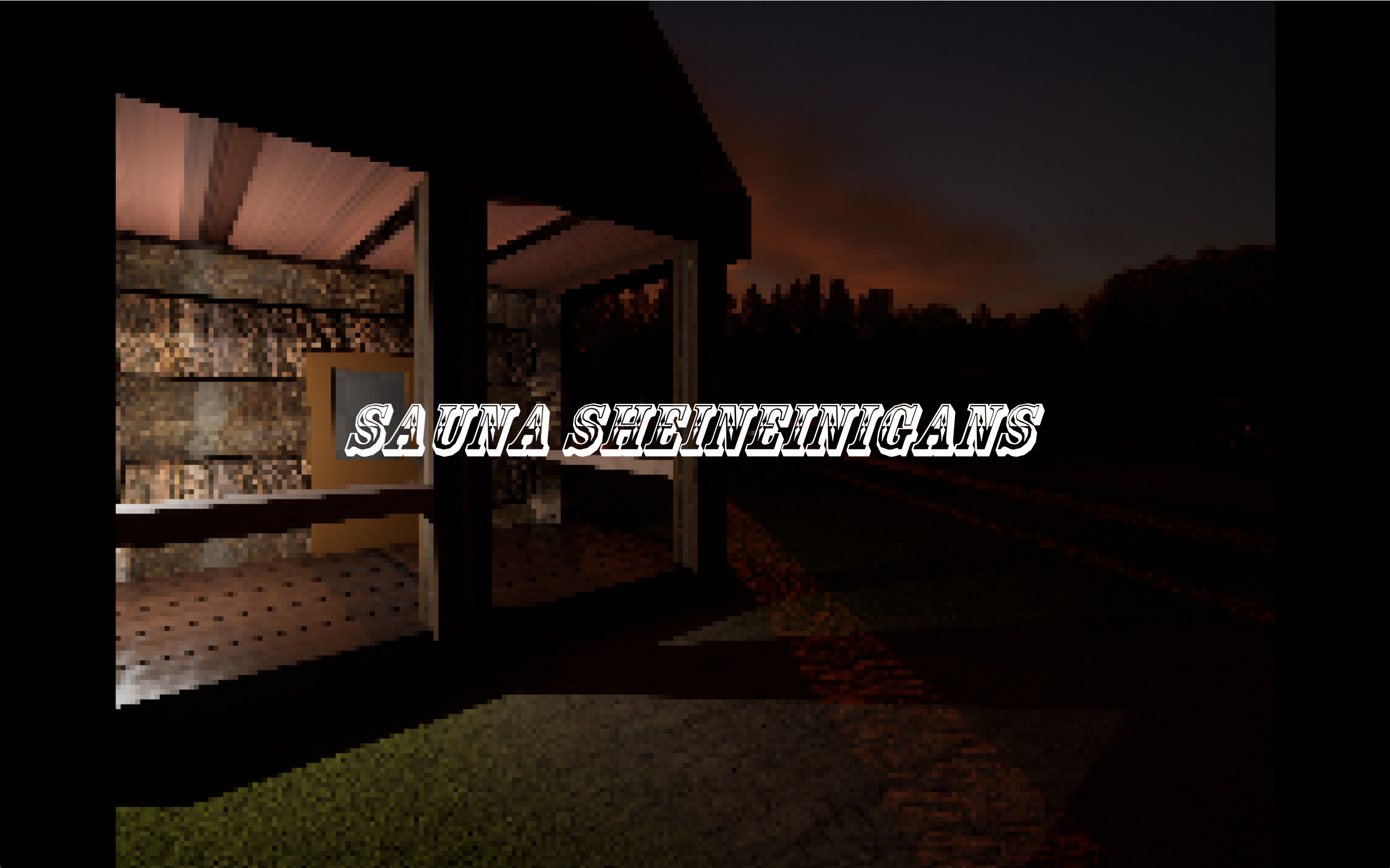Cover image for SaunaSheineinigans