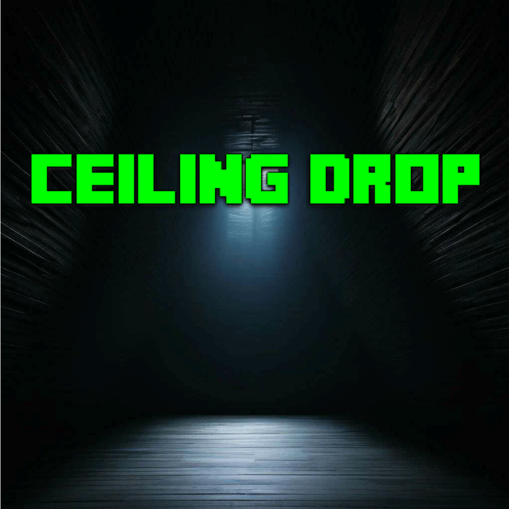 Cover image for Ceiling Drop
