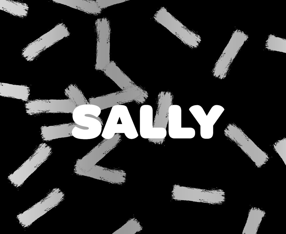 Cover image for SALLY