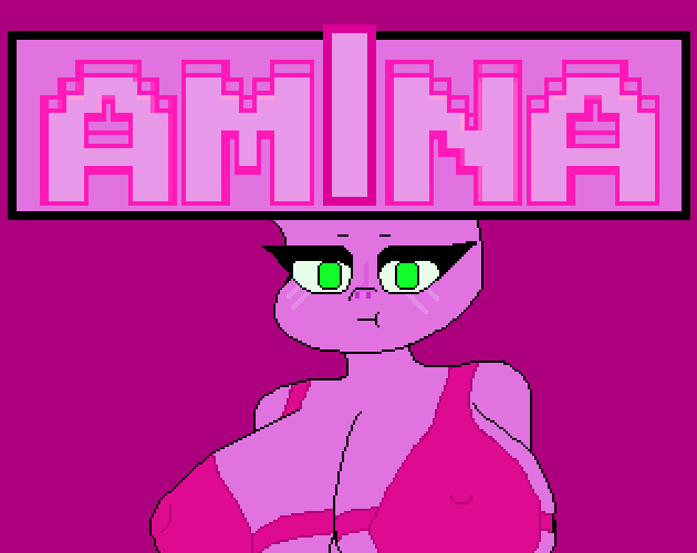 Cover image for AMINA