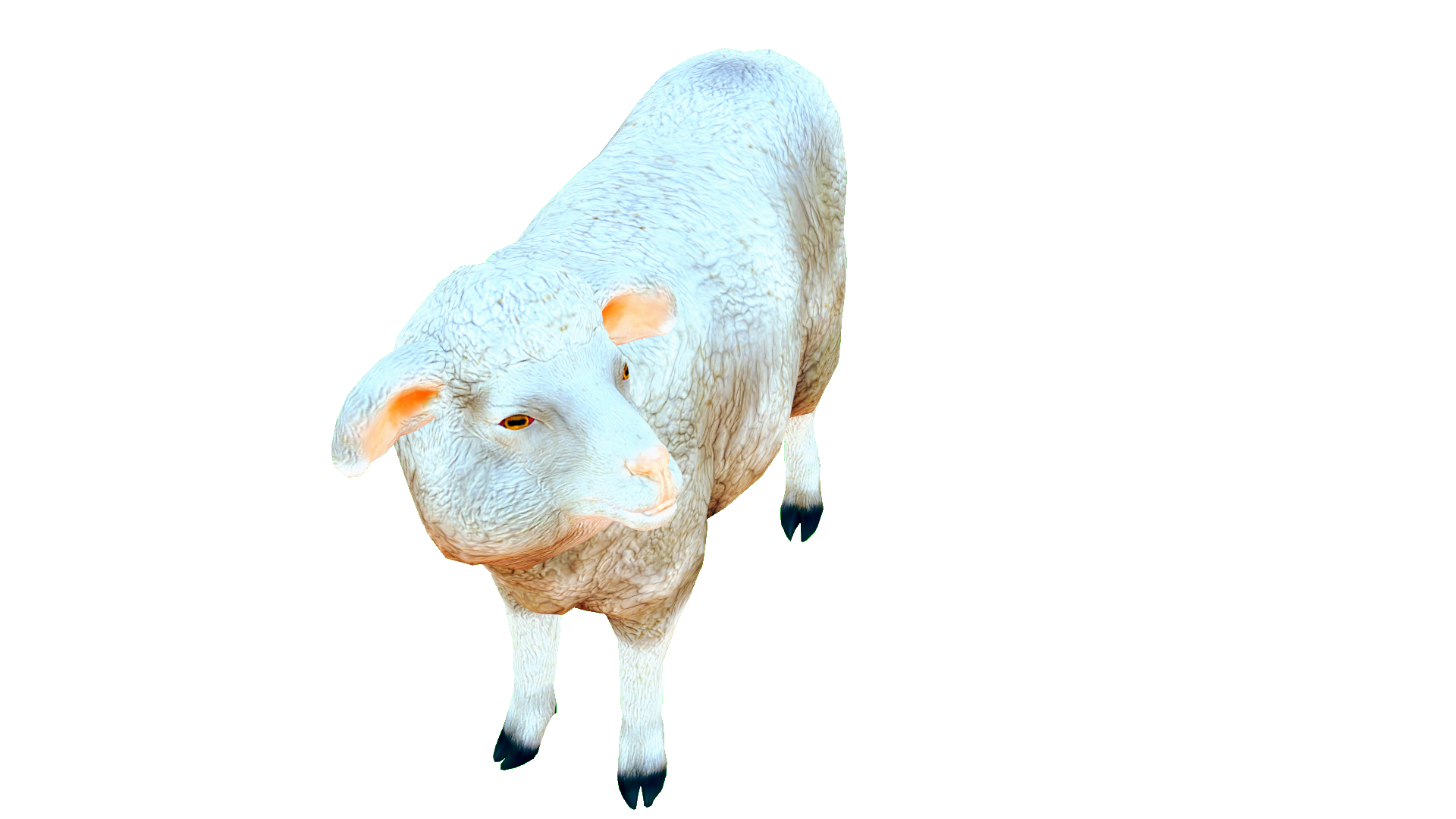 talking-sheep-animations-by-quark-yifu