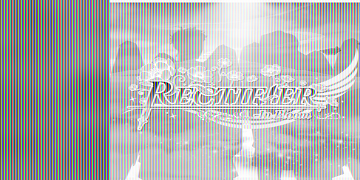 Cover image for Rectifier: In Bloom (Old)