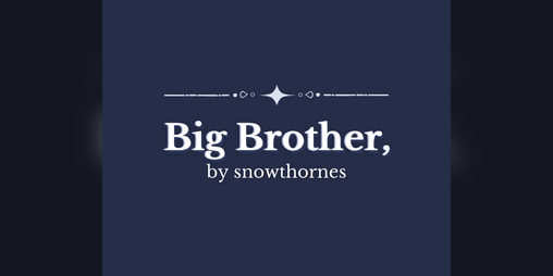 Cover image for Big Brother,