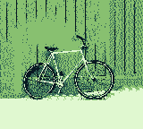 Cover image for The Daily Ride