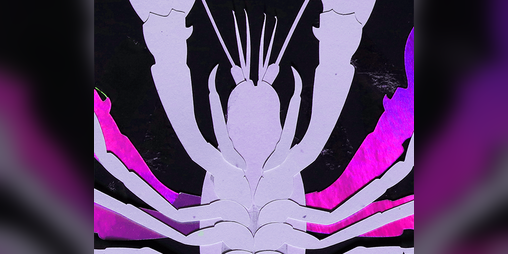 Cover image for Molting in Reverse