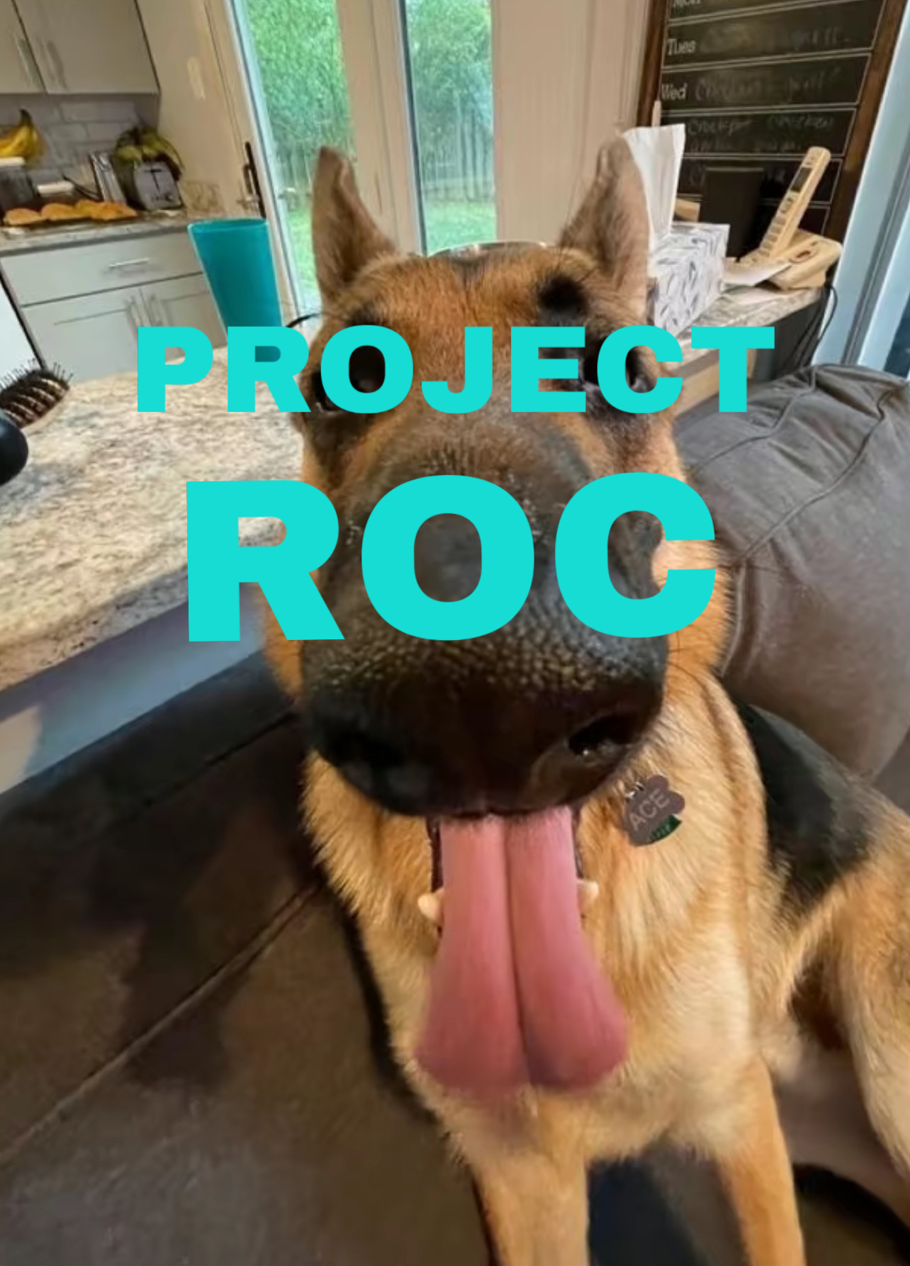 Cover image for PROJECTROC