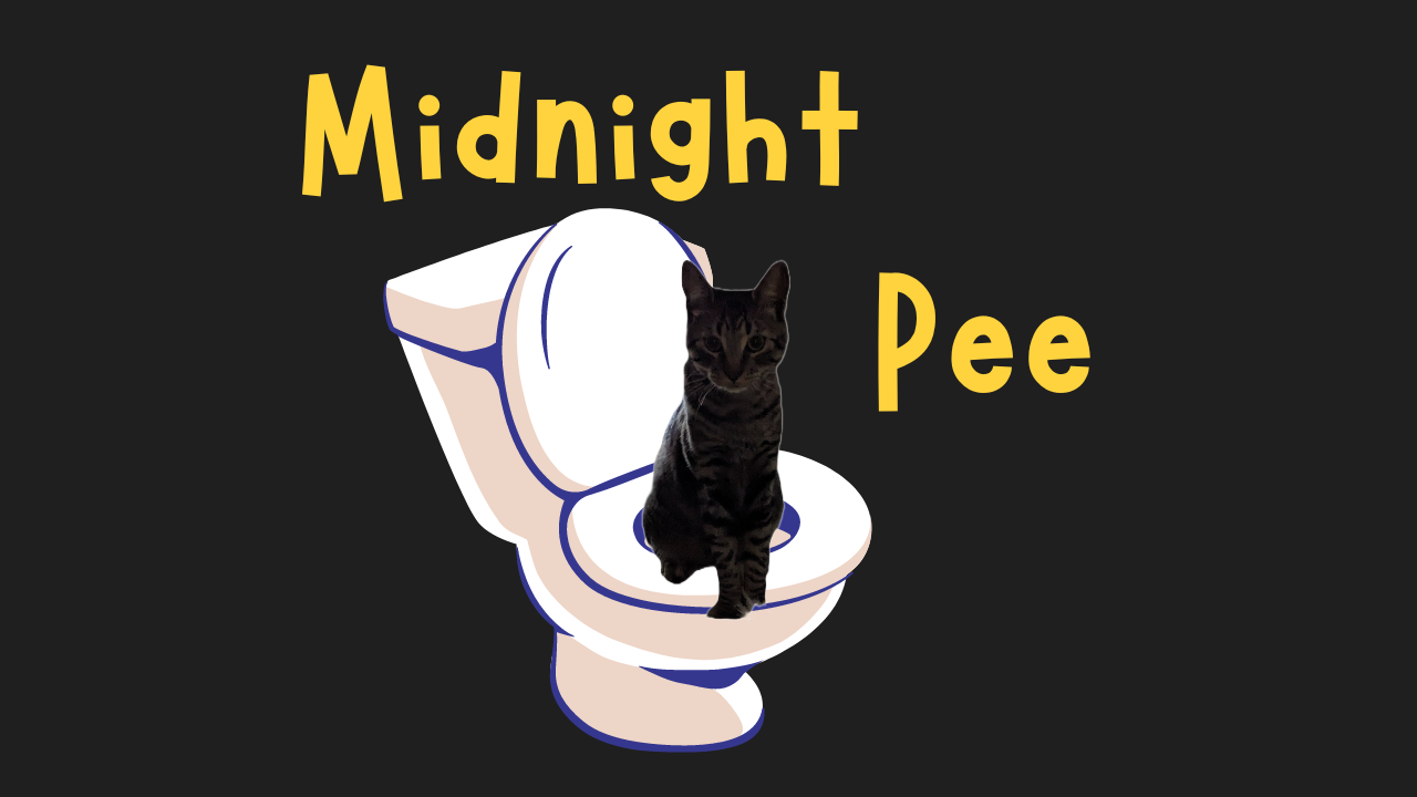 Midnight Pee