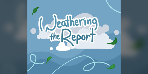 Cover image for Weathering the Report