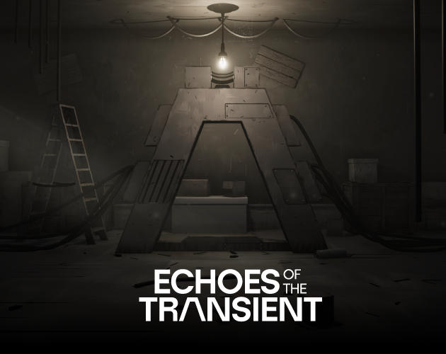 Cover image for Echoes of the Transient